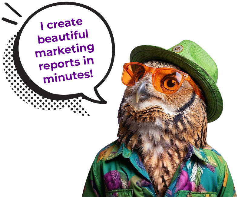 owl-banner-1