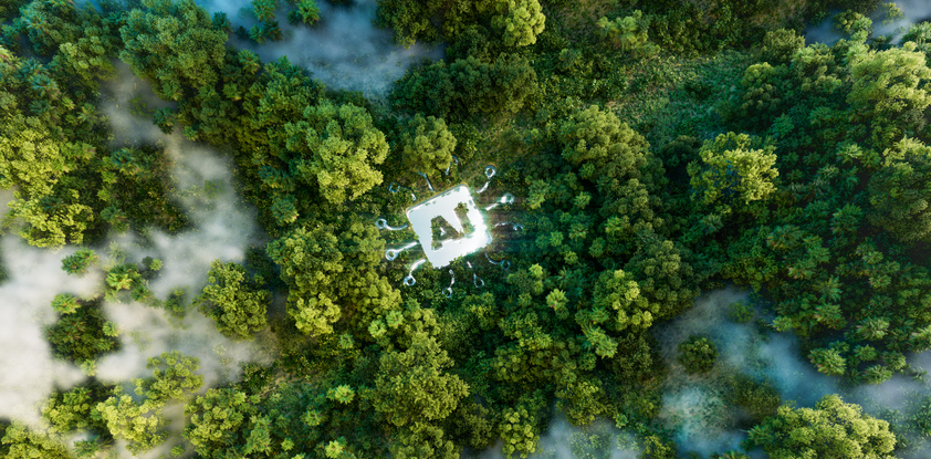 Aerial view of a forest with mist, centering on a glowing 'AI' icon